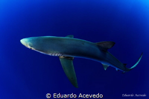 Azores, Santa Maria Island with Paralelo 37. by Eduardo Acevedo 